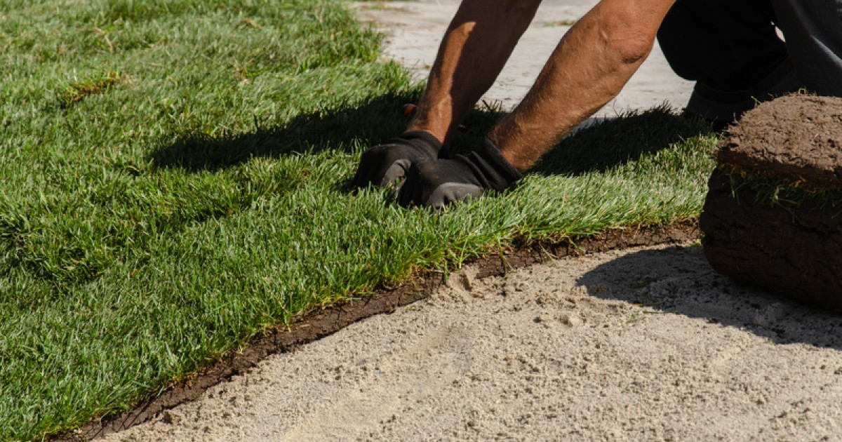 Het laten aanleggen van een tuin