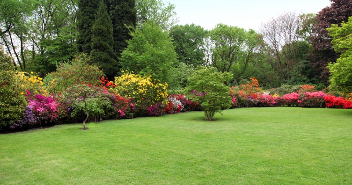 Een beplantingsplan voor de tuin